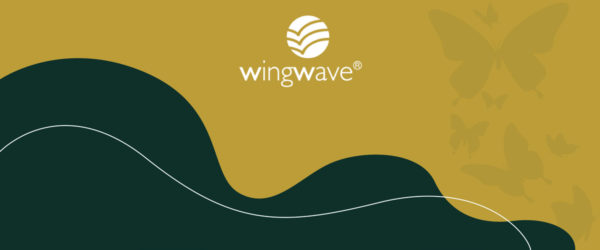 Stërvitje Wingwave